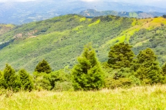 Parque-Ecologicas-Santa-Ana-2017-15