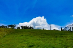Parque-Ecologicas-Santa-Ana-2017-16