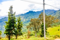 Parque-Ecologicas-Santa-Ana-2017-17