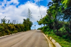 Parque-Ecologicas-Santa-Ana-2017-21