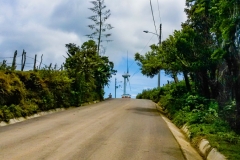 Parque-Ecologicas-Santa-Ana-2017-22