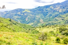Parque-Ecologicas-Santa-Ana-2017-26