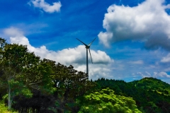 Parque-Ecologicas-Santa-Ana-2017-39
