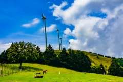 Parque-Ecologicas-Santa-Ana-2017-6