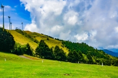 Parque-Ecologicas-Santa-Ana-2017-8