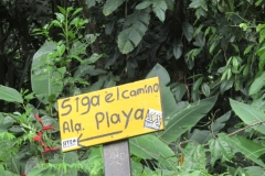 2023_AGOSTO_Manzanillo_Limon__17_