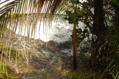 2023_AGOSTO_Manzanillo_Limon__21_