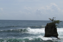 2023_AGOSTO_Manzanillo_Limon__22_