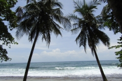 2023_AGOSTO_Manzanillo_Limon__26_