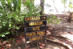 2023_AGOSTO_Manzanillo_Limon__38_