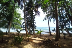 2023_AGOSTO_Manzanillo_Limon__60_