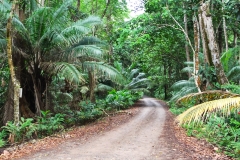 Parque-Nacional-Cahuita-Limon-30