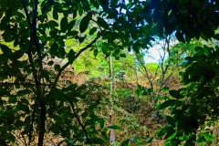Poza-ciudad-colon-13