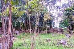Sanatorio-Duran-Cartago-46